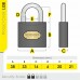 38mm Iron Padlock